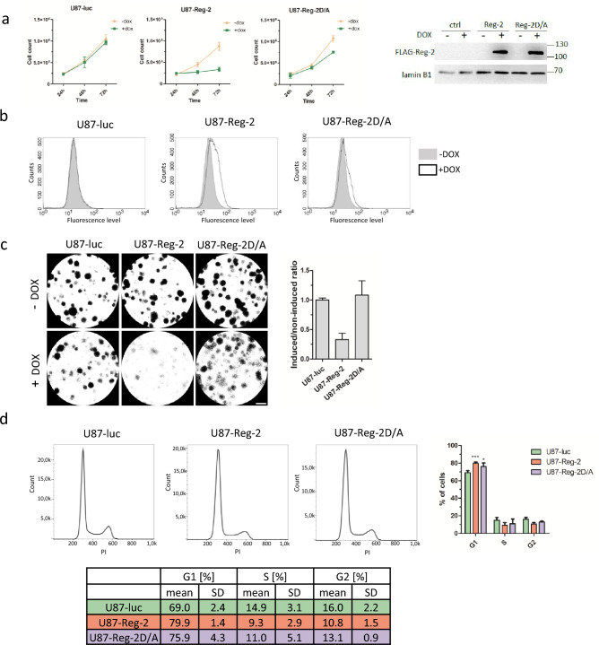 Fig. 1 Regnase-2 inhibits proliferation, and stalls the cell cycle at the G1 phase.