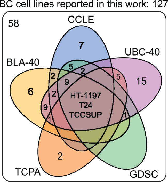 Fig. 1 Venn diagram of human BC cell lines analyzed in five panels. (Zuiverloon TCM, et al, 2018)