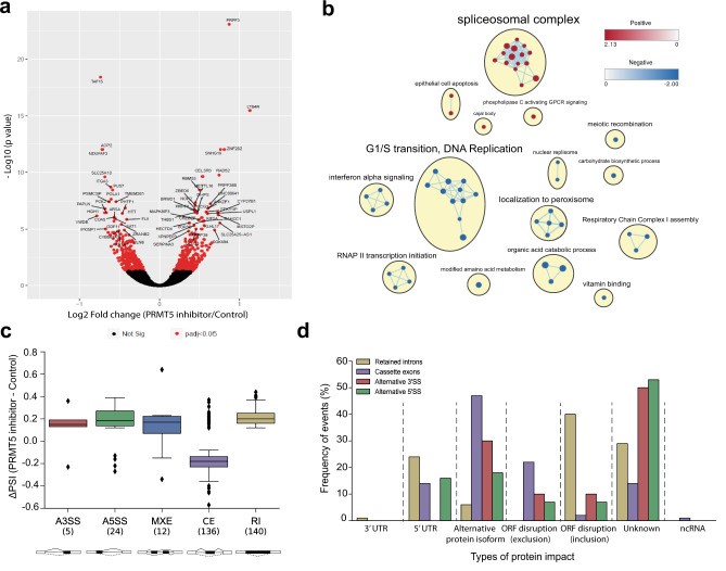 (a) Volcano plot comparing fold change (x-axis) and p-value obtained from DESeq2 analysis (y-axis) of the expressed genes between GSC lines treated with GSK591 and SGC2096 (n = 3). (b) Gene-set enrichment analysis (GSEA) of all ranked differentially expressed genes (DEGs), visualized in Cytoscape. (c) Distribution of ΔPSI (difference in “percent spliced in”) for classes of alternative splicing events (ASEs). (d) Prediction of protein impact (PI) classes for ASE events.