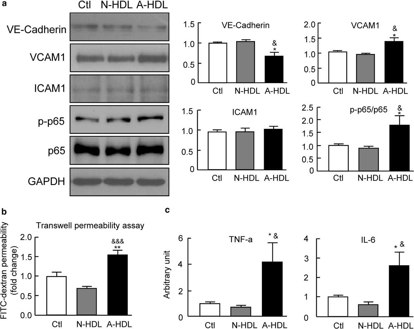 HDL from ARDS patient plasma induces dysfunction in primary pulmonary microvascular endothelial cells.