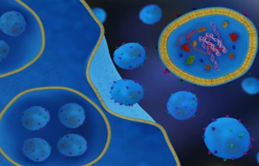 Exosome Isolation Tools