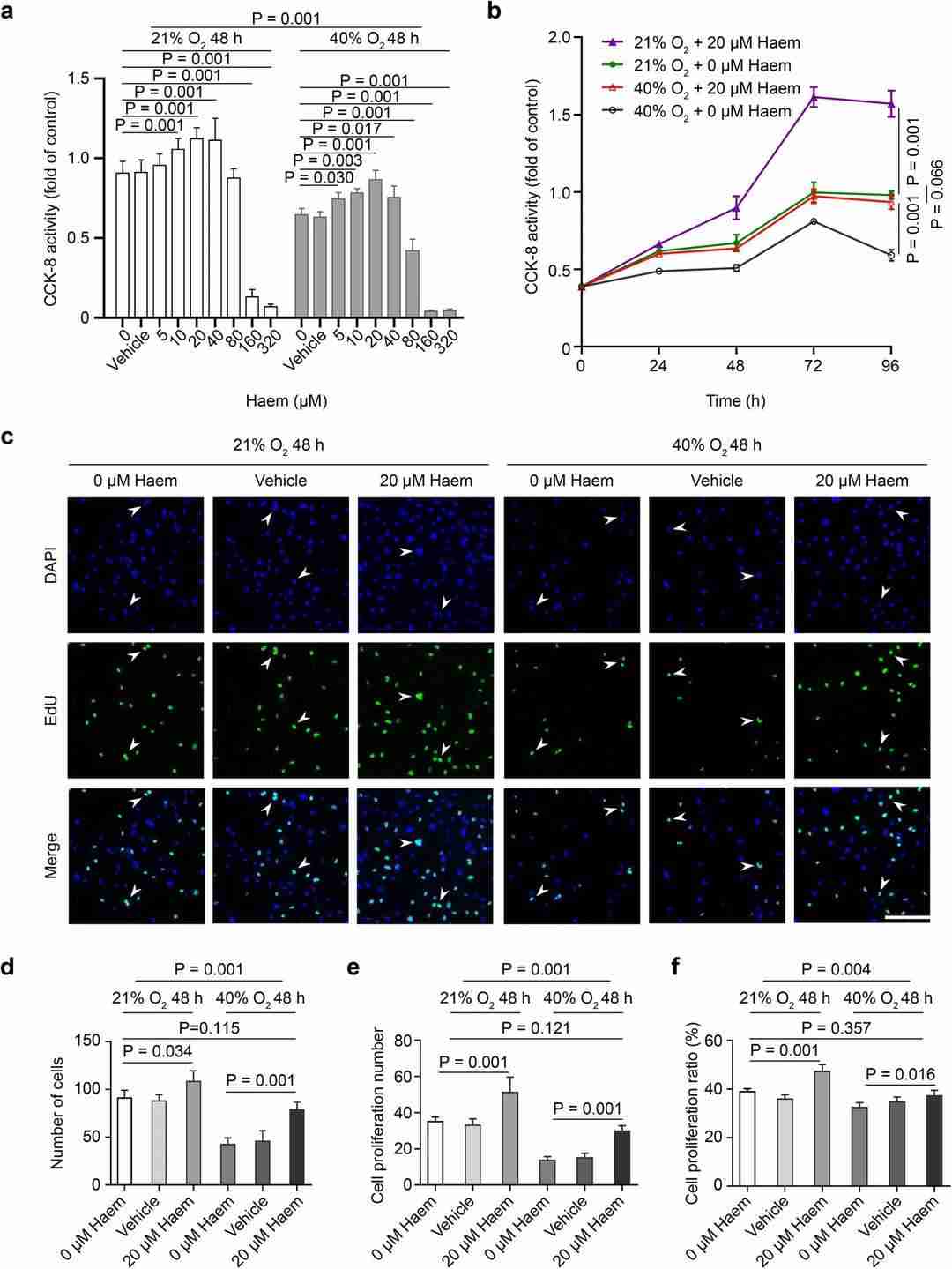 Impact of haem on the proliferation of HMEC-1 cells.