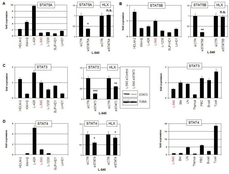 Fig. 3 RQ-PCR analysis of STAT-factors in HL cell lines, including L-540 cell lines. (Nagel S, et al., 2018)