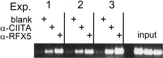 CIITA binds to the HLA-DOB promoter.
