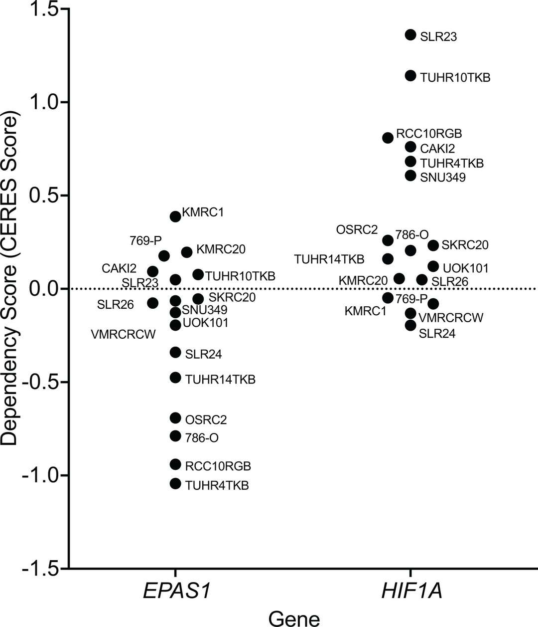 The reliance on HIF1alpha and HIF2alpha varies among VHL mutant ccRCC cell lines according to genome-wide CRISPR-Cas9 screening results.