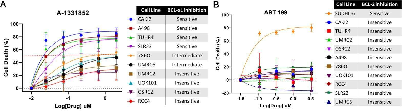 The percentage of cell death, compared to DMSO-treated control cells, was calculated using the XTT assay in the specified ccRCC cell lines treated with various concentrations of the BCL-XL inhibitor A-1331852 (Panel A) or the BCL-2 inhibitor ABT-199 (Panel B) over a period of three days.