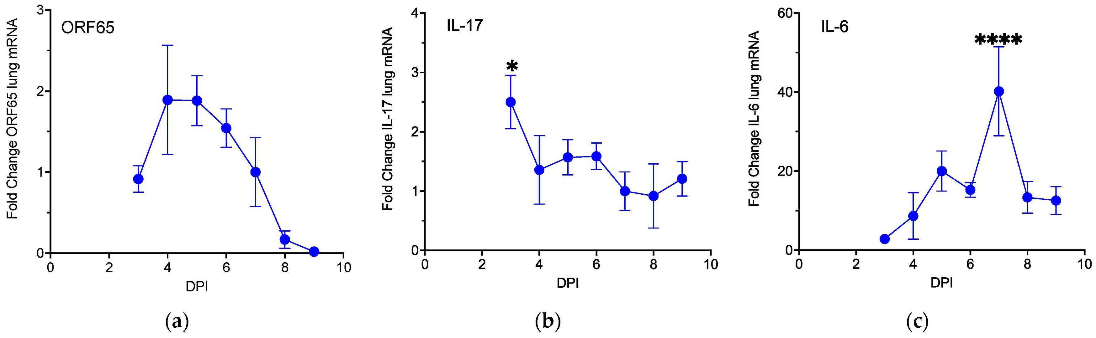 MHV68 infection triggers the expression of Type 17 cytokines.