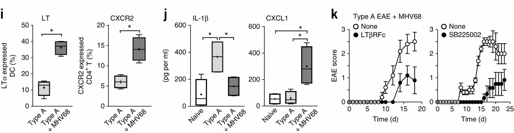 The roles of CXCL1 and CXCR2 are crucial in the development of both type B EAE and type A EAE upon MHV68 infection.