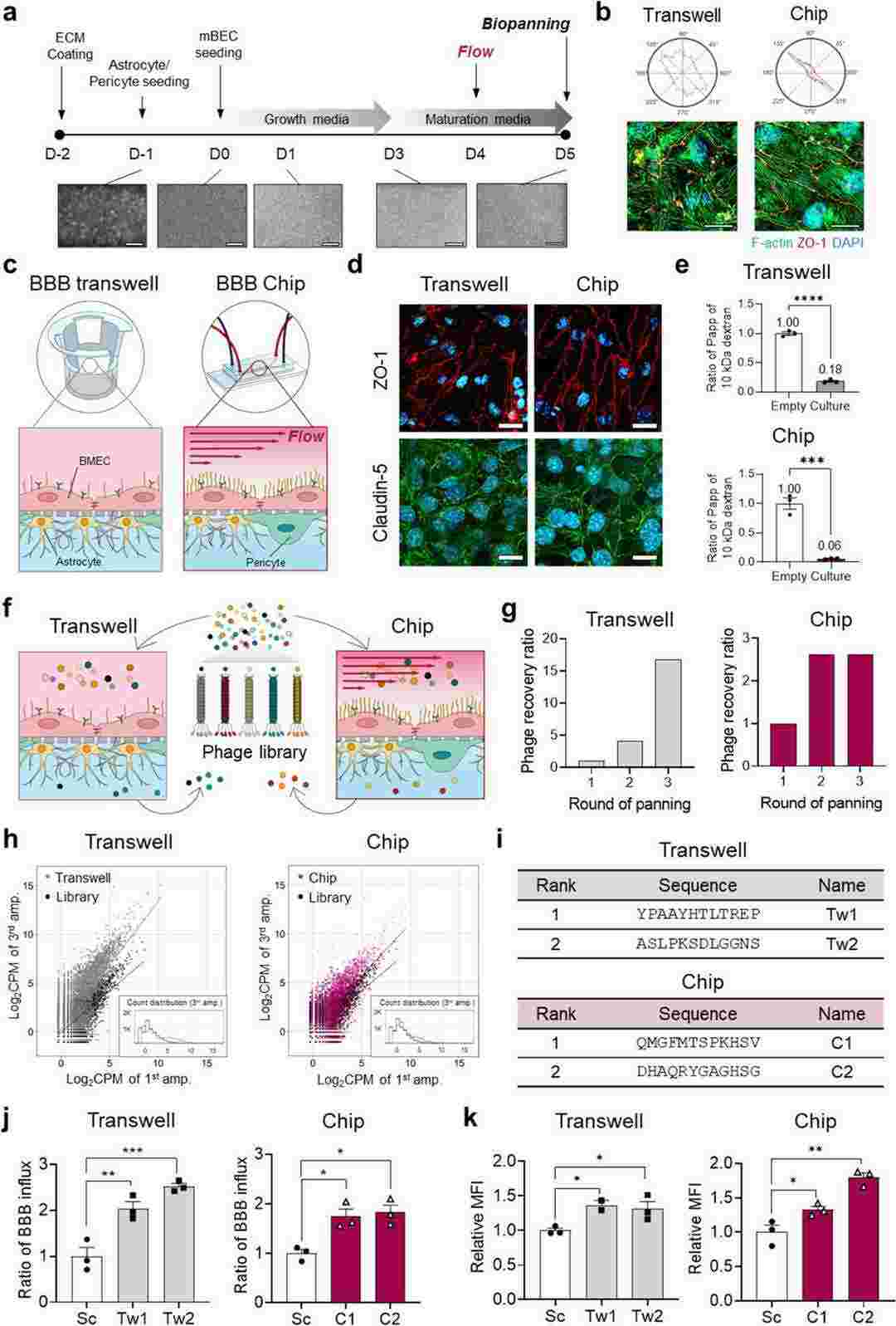 The mouse BBB can be reconstructed using a transwell and a microfluidic device, along with biopanning techniques to identify nanoshuttle peptides that cross the BBB.