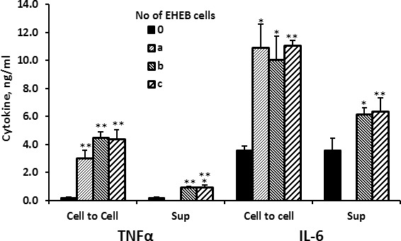 Fig. 1 TNFα and IL-6 production by PBMC incubated for 24 hours with EHEB cells (cell-to-cell) or supernatants (Sup). (Bessler H, et al., 2020)
