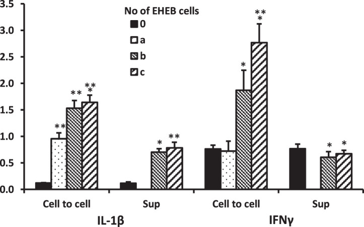 Fig. 2 IL-1β and IFNγ production by PBMC incubated for 24 hours with EHEB cells (cell-to-cell) or supernatants (Sup). (Bessler H, et al., 2020)