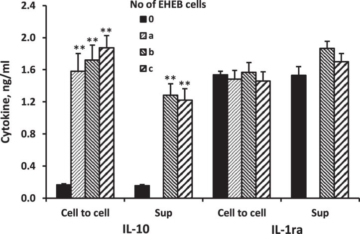 Fig. 3 IL-10 and IL-1ra production by PBMC incubated for 24 hours with EHEB cells (cell-to-cell) or supernatants (Sup). (Bessler H, et al., 2020)