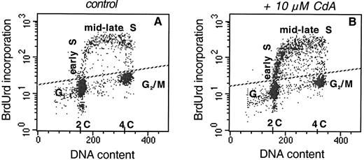 Fig. 6 Simultaneous analysis of DNA synthesis and DNA content by BrdUrd incorporation, PI staining, and fluorescence-activated cell-sorting analysis. (Cardoen S, et al., 2001)