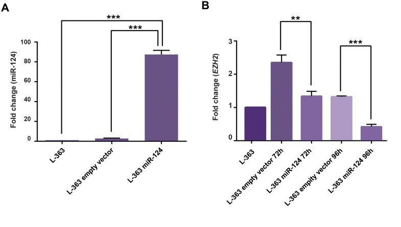 miR-124 and EZH2 expression fold changes before and after transduction in L-363 cells. (Sabour Takanlu J, et al., 2020)