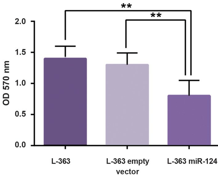 MTT assay results of L-363 cell after transduction of miR-124. (Sabour Takanlu J, et al., 20220)
