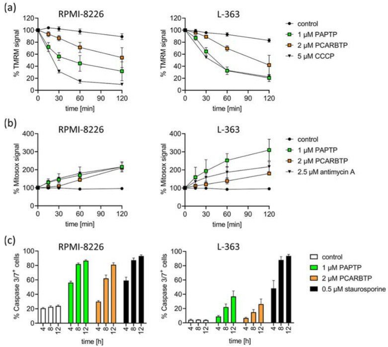 Inhibition of mitoKv1.3 with PAPTP and PCARBTP triggers apoptosis in human multiple myeloma cell lines L-363 and RPMI-8226. (Kadow S, et al., 2022)