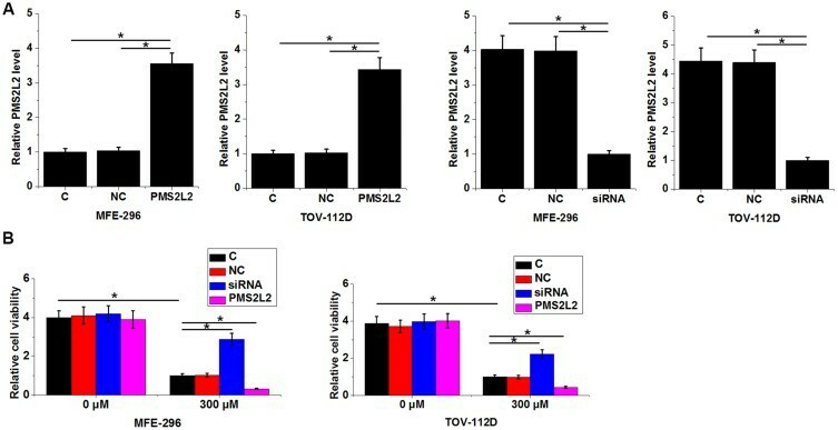 PMS2L2 enhances the viability of EA cells when treated with 300 µM carboplatin.