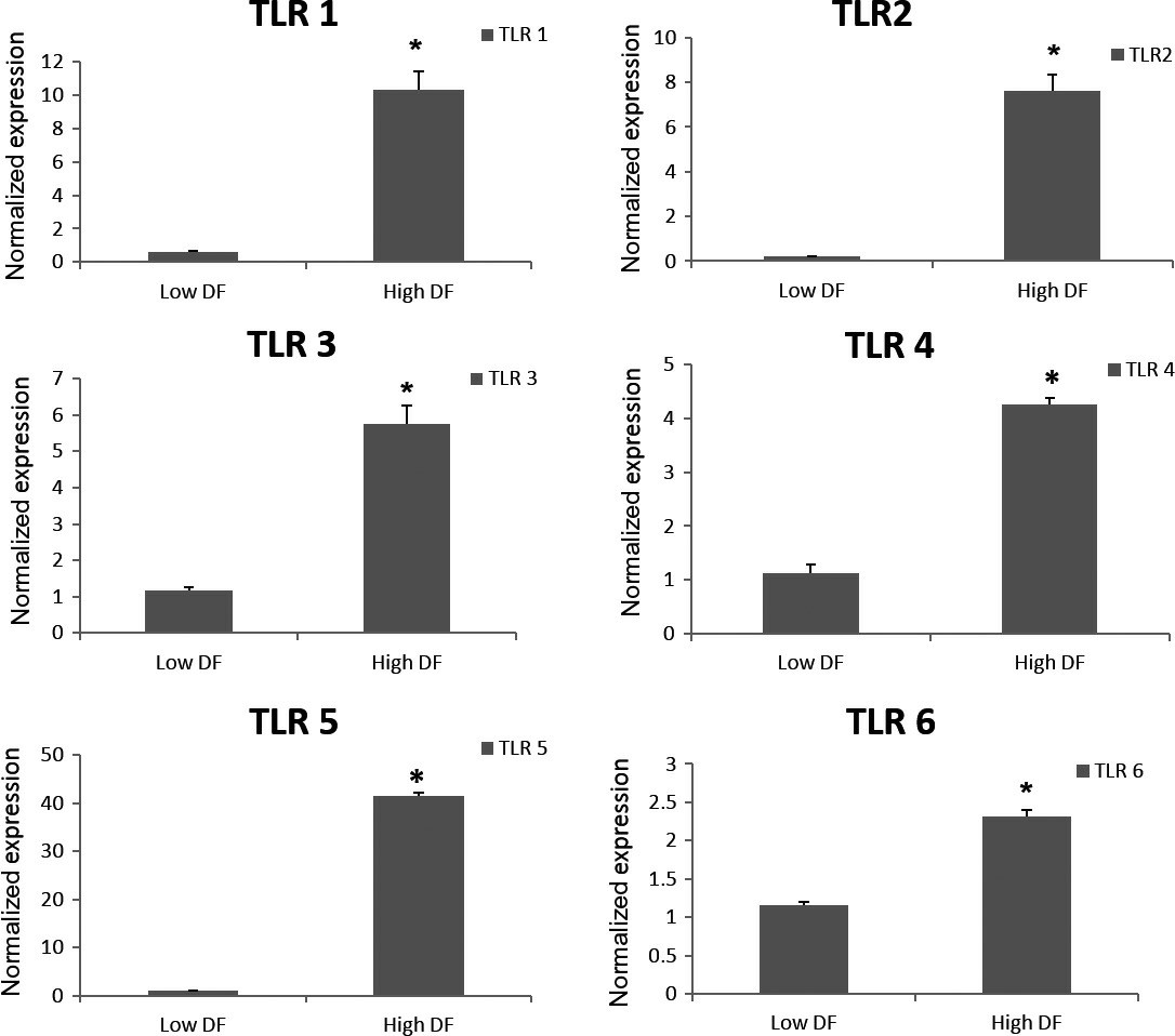 The average relative expression levels of TLR genes 1-6 in OE-E6/E7 cells when co-cultured with groups exhibiting high and low levels of DNA fragmentation.