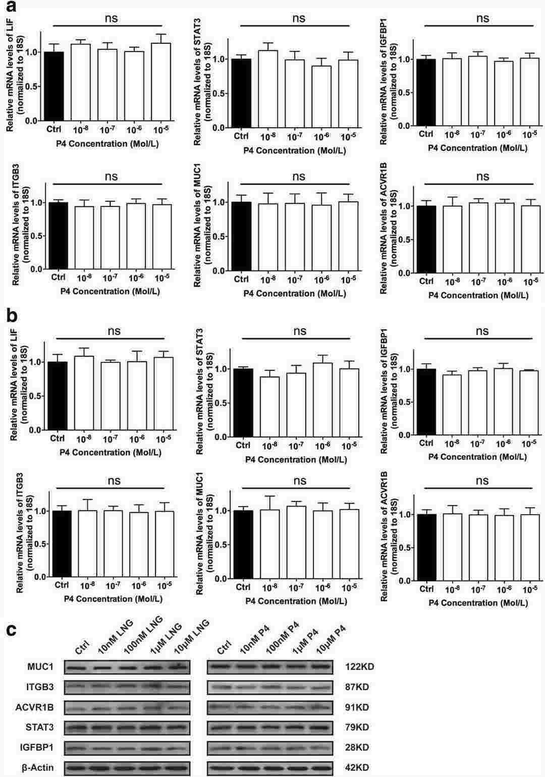 The impact of various concentrations of LNG and P4 on the expression of receptivity markers in the fallopian tubes.