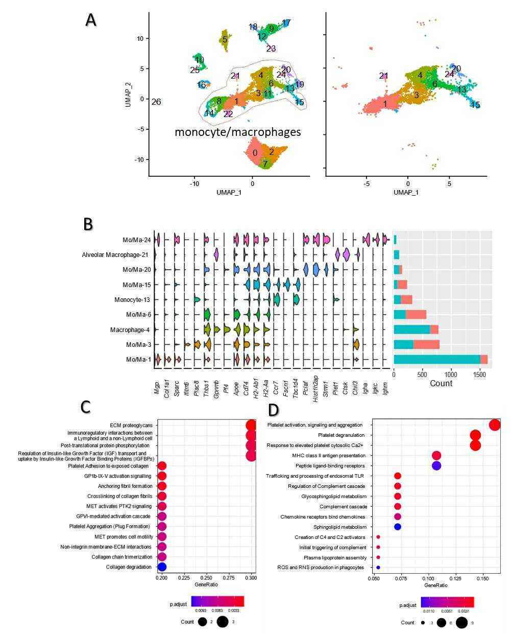 The Go enrichment and KEGG analysis of 9 monocyte/macrophage clusters’ monocyte/macrophage (a) UMAP distribution both groups.