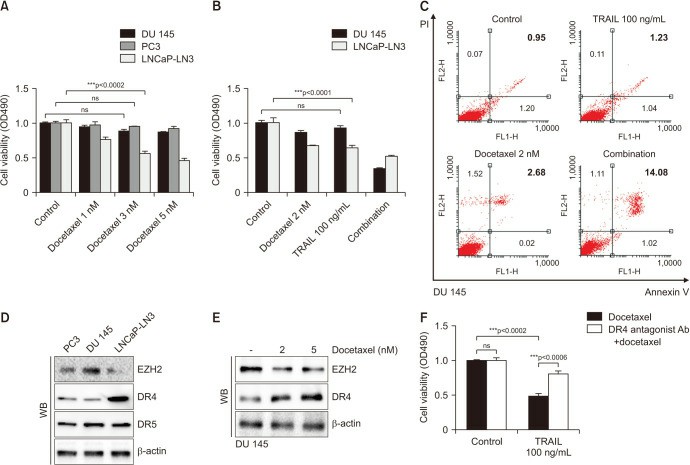 Cell viability assays were conducted in prostate cancer cell lines following treatments with docetaxel and TRAIL.
