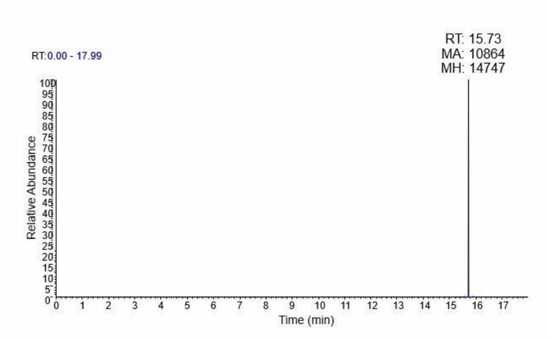 The detection of the palmitic acid-d31 peak in UPLC-Orbitrap MS/MS. The palmitic acid-d31 peak was exclusively observed in the groups treated with palmitate.