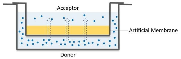 The schematic diagram of the PAMPA model.