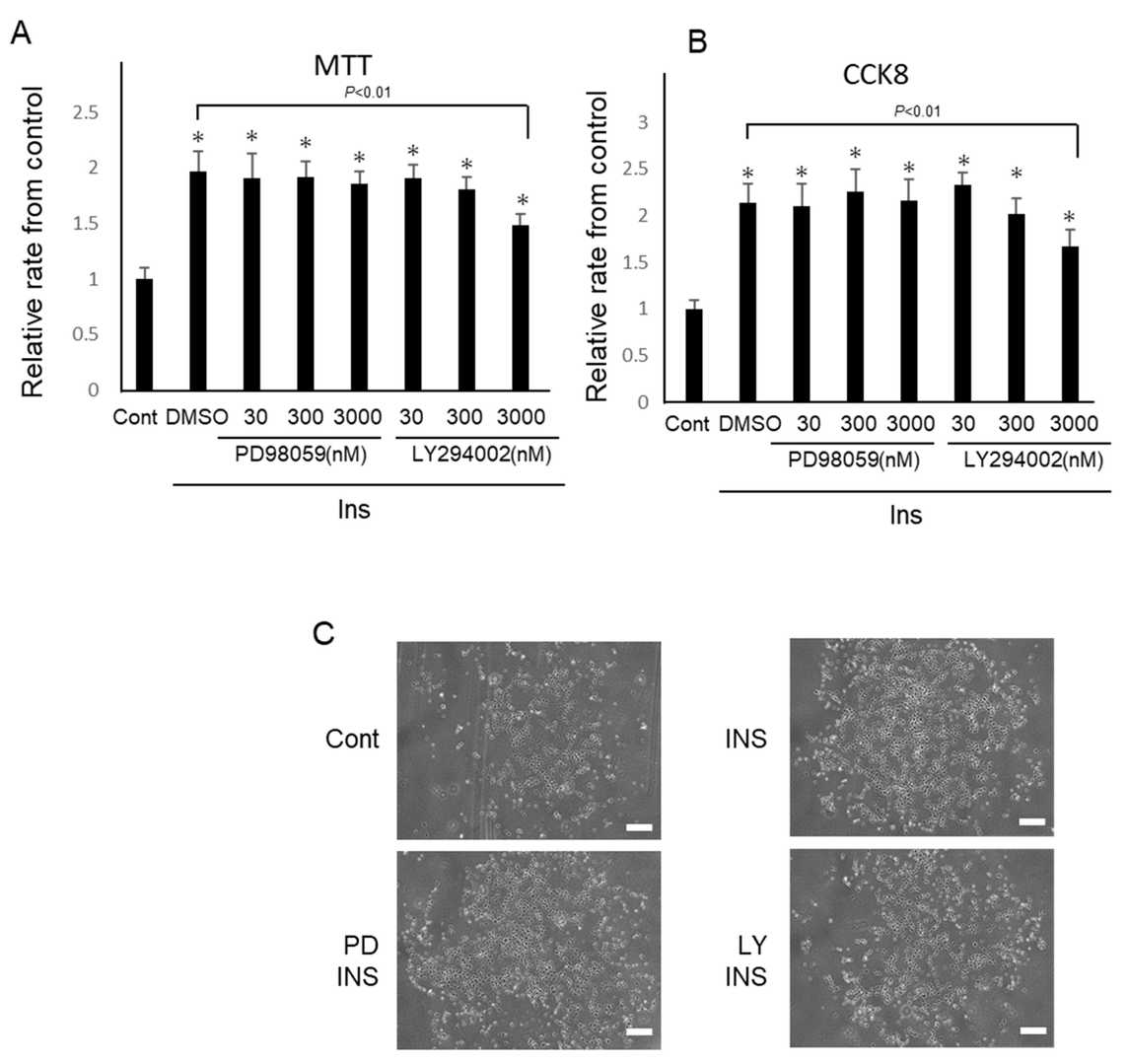 Insulin significantly enhanced the proliferation of IFRS1 cells.