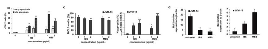 Fig. 2 IBS and MBS induce apoptotic death of JVM-13 cells. (Todorovic Z, et al., 2021)