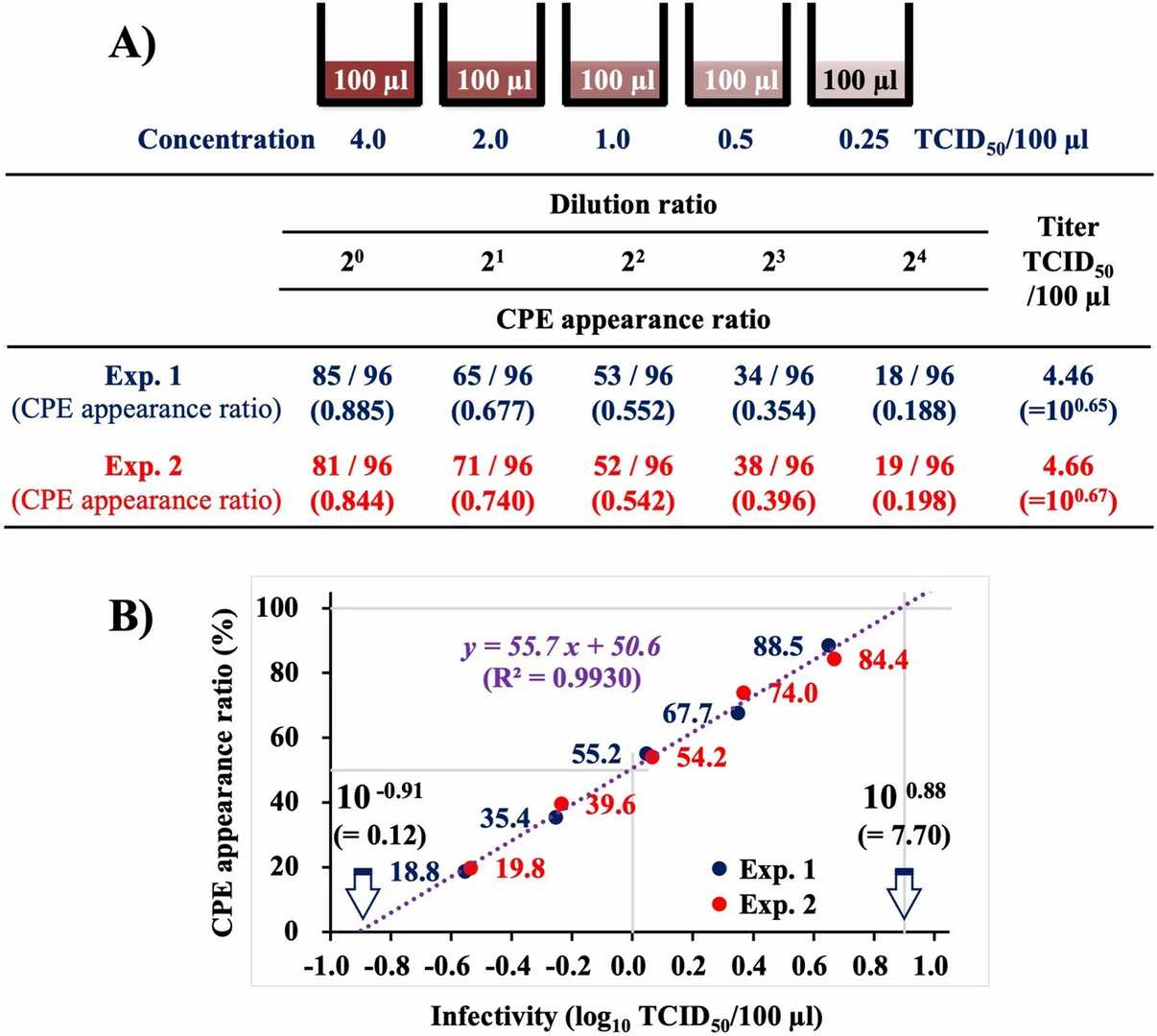 The correlation between NNV infectivity and the appearance ratio of CPE was demonstrated through titration using the 96-well system.