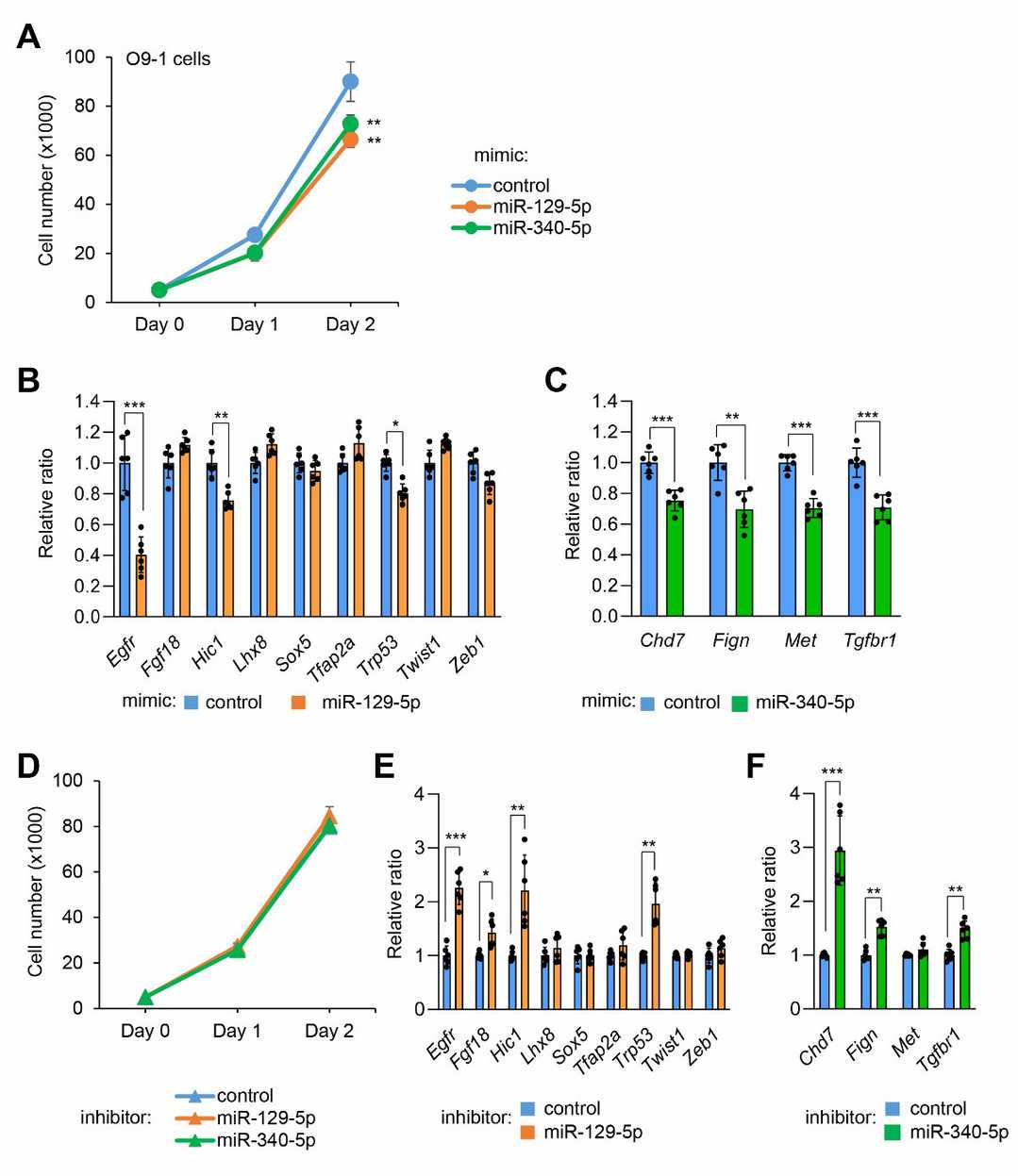 Impact of miR-129-5p and miR-340-5p on proliferation and gene expression in O9-1 cells.