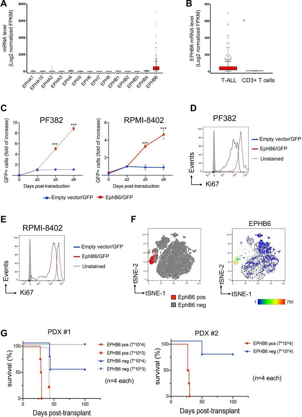 The constant expression of the EPHB6 receptor in human T-ALL enhances cell proliferation in vitro and expansion in vivo.