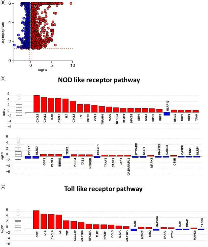 Necrotic supernatant from renal tubular epithelial cells causes activation of NLR and TLR signaling pathways in human lung microvascular endothelial cells.
