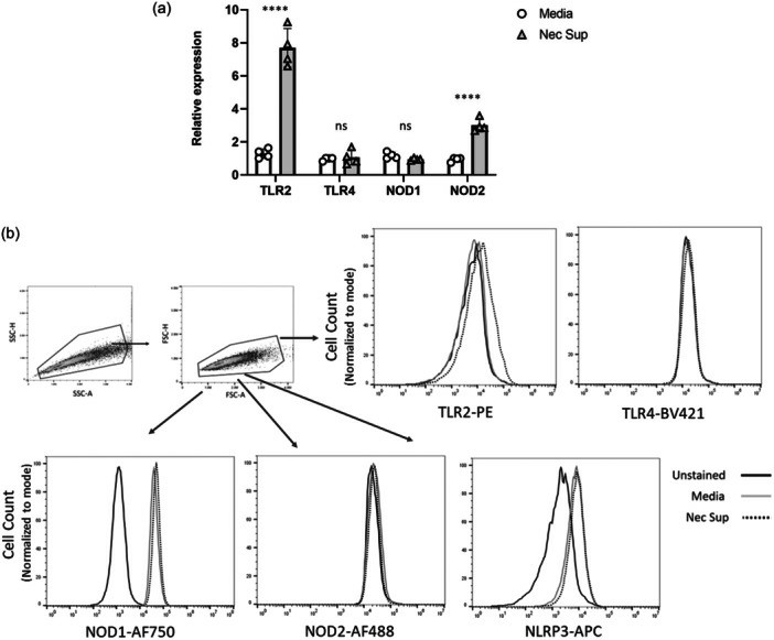 Supernatant from injured RTECs causes upregulation of NOD2 and TLR2 in human lung microvascular endothelial cells.