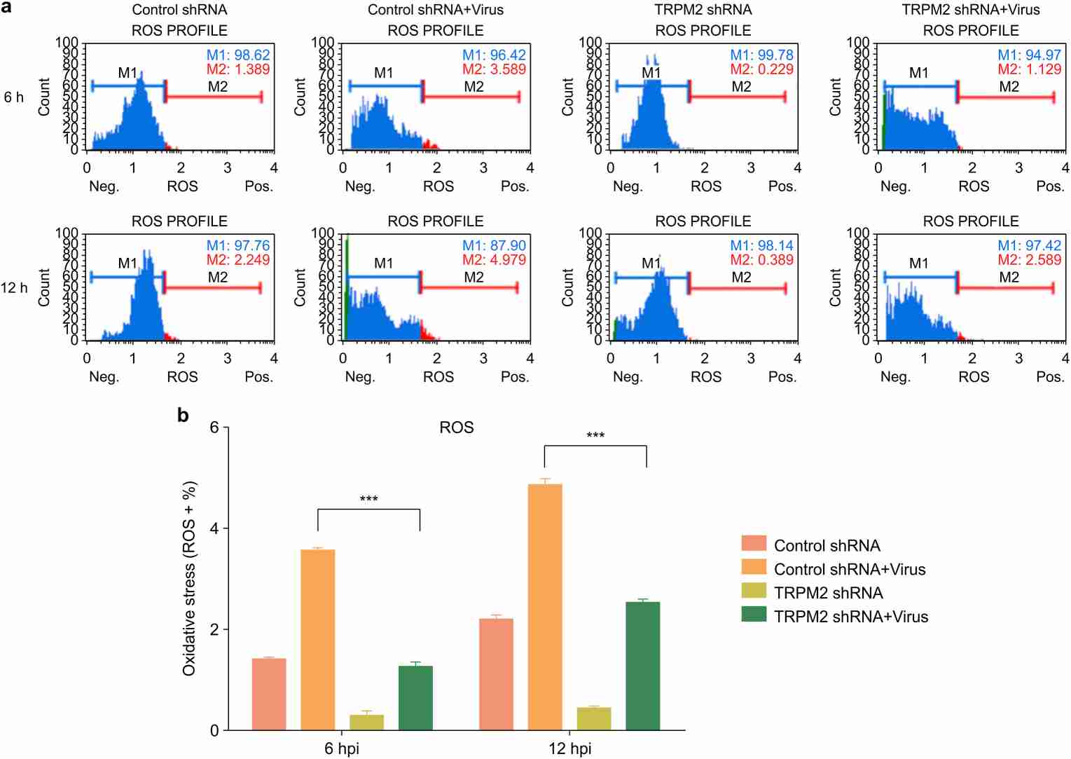 Silencing TRPM2 reduced H9N2 virus-induced intracellular ROS production.