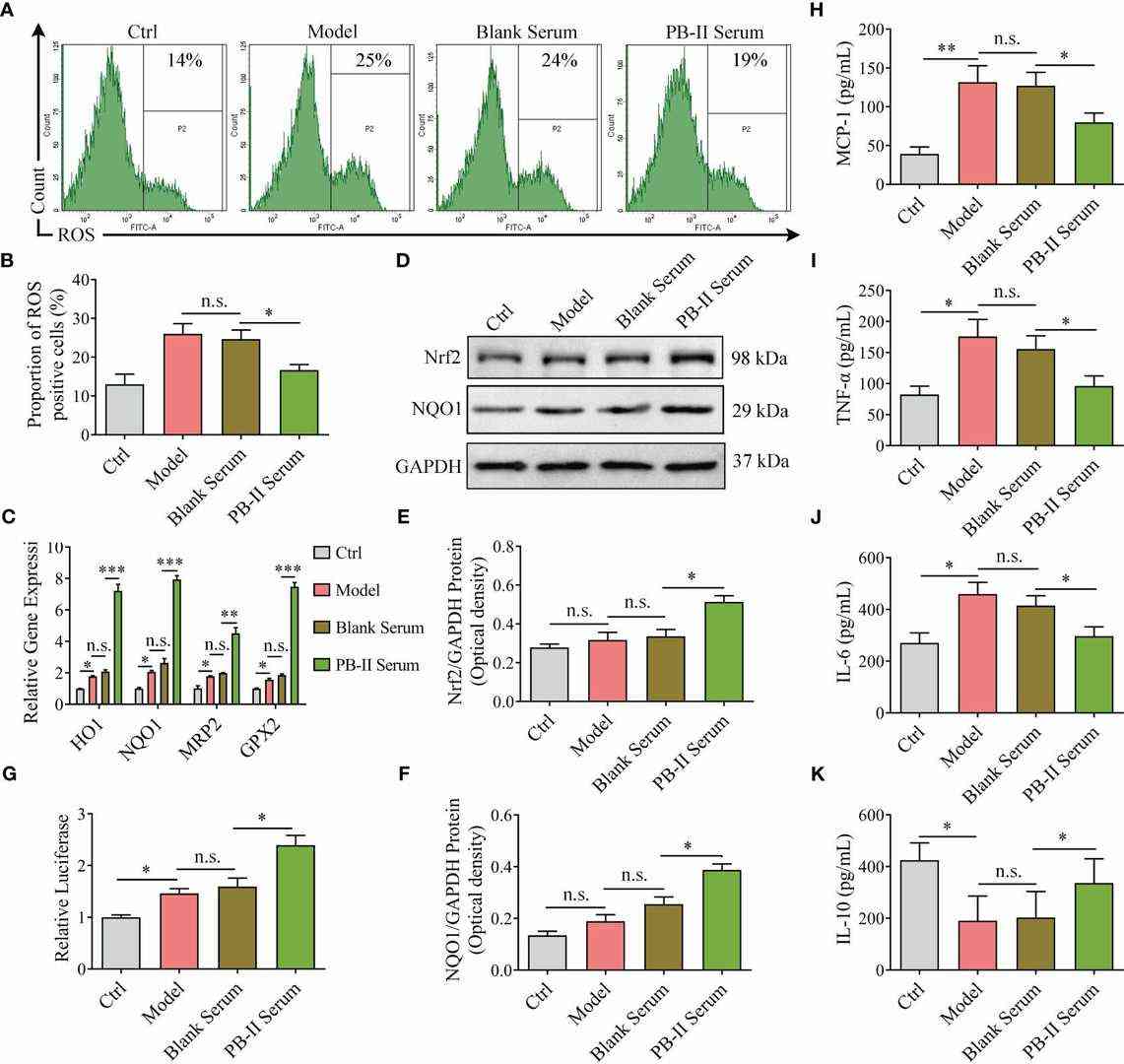 Activation of Nrf2 Pathway Genes in Medicated Cells Reduces ROS and Inflammation.