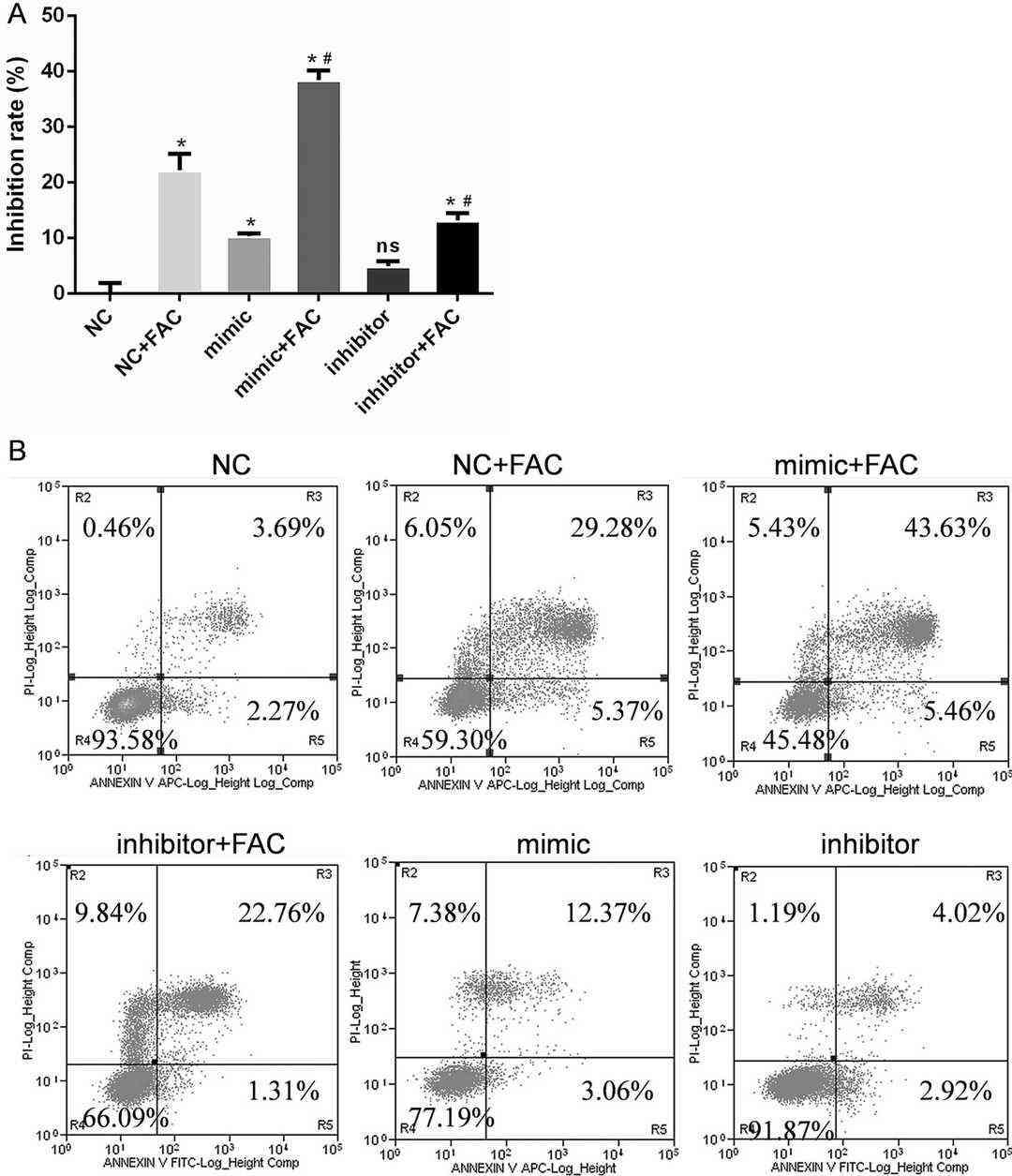 miR-3074-5p mediates apoptosis in MC3T3-E1 cells under iron overload conditions.