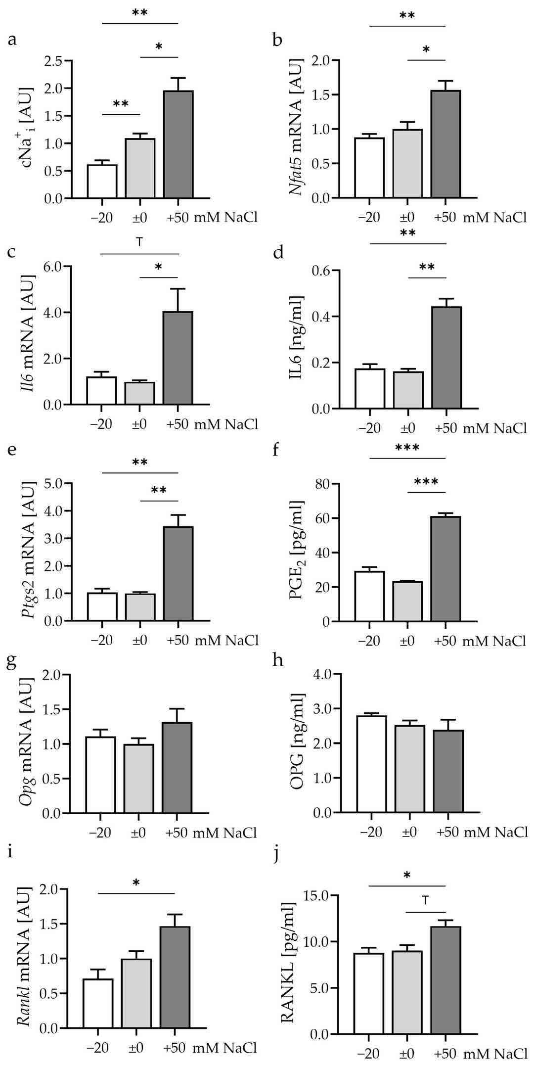 The effects of different extracellular NaCl concentrations for 48 h.