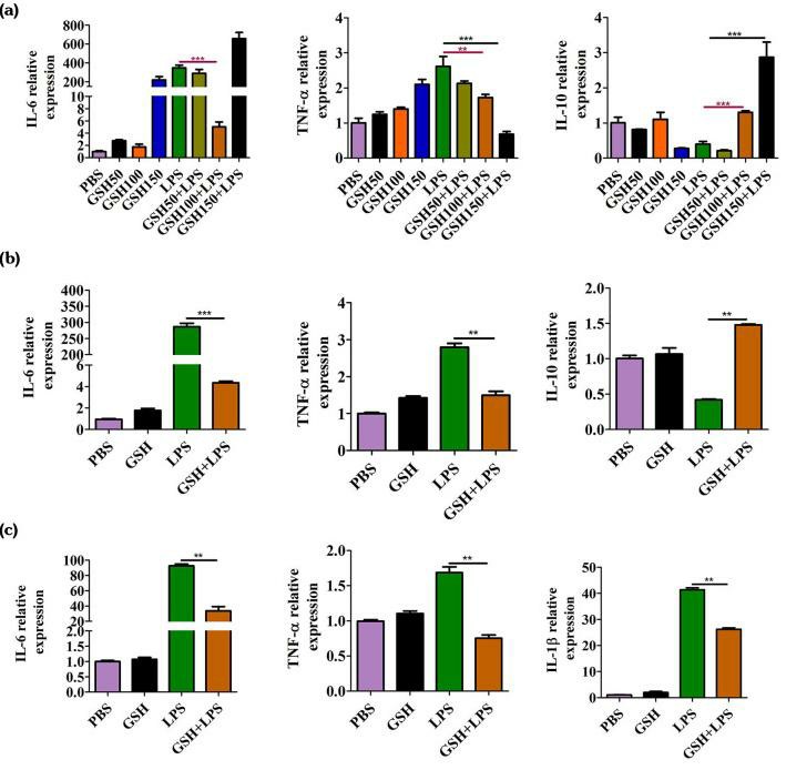 Impact of reduced glutathione on the release of inflammatory cytokines.