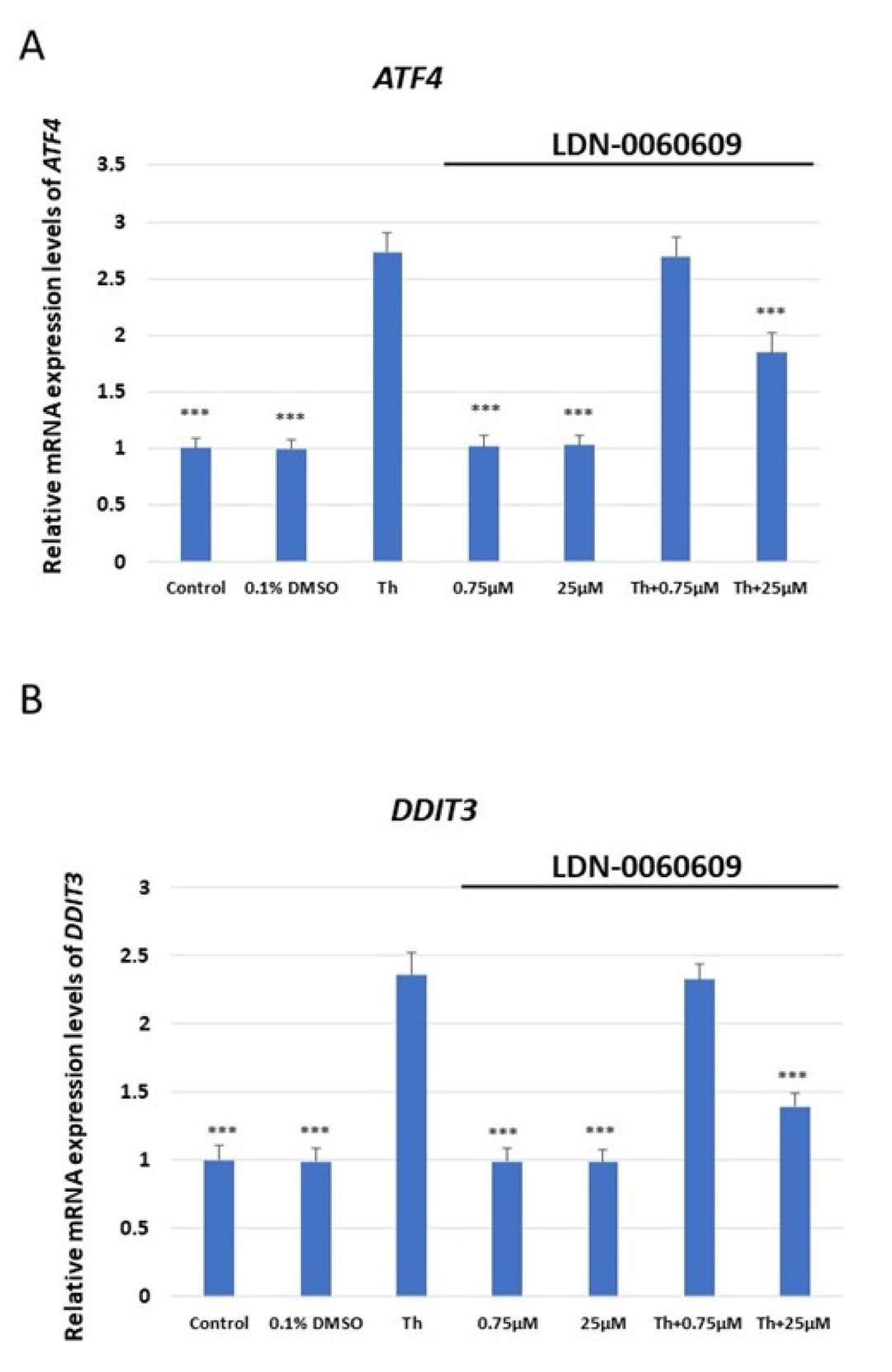 Assessment of mRNA expression levels of apoptosis-related genes associated with ER stress in HRA cells: (A) ATF4, (B) DDIT3, (C) BAX, (D) Bcl-2.