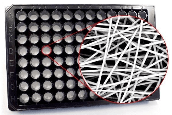 Polymeric 3D scaffold in microplate.