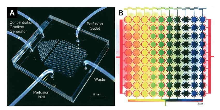 Ultra-low attachment (ULA) 96-well round-bottomed plates were used to generate suspension cultures of reproducibly sized, single spheroids in each well.