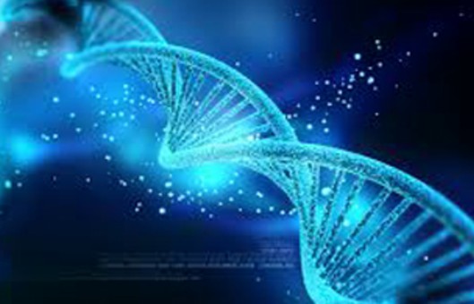 Nucleic Acid Extractions