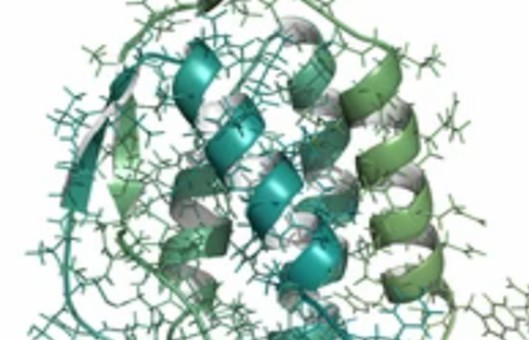 Cytokines & Growth Factors