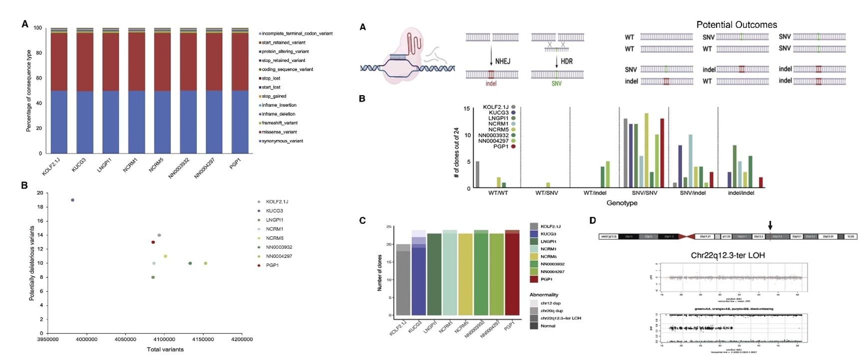 Left: Genetic analyses of 8 candidate iPSC sub-lines; Right: Comparative gene editing efficiency.