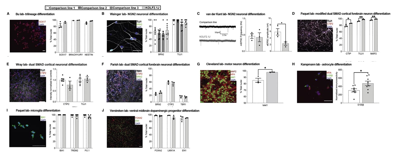 Performance of KOLF2.1J and established hPSC lines in head-to-head comparisons.