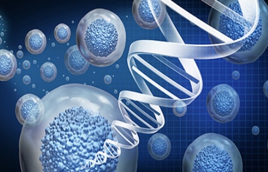 iPSC-Derived Cells