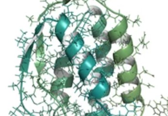 Cytokines and Growth Factors