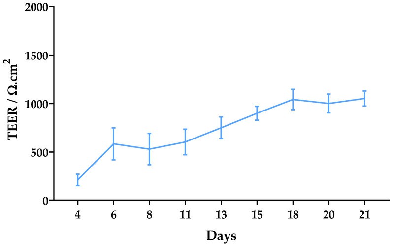 Right: Monitoring of TEER values from day 4 to day 21 after seeding of Caco-2 cells.