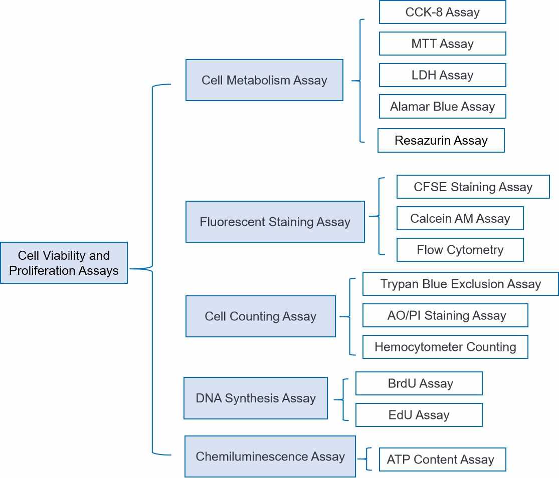 Overview of cell viability and proliferation assays.